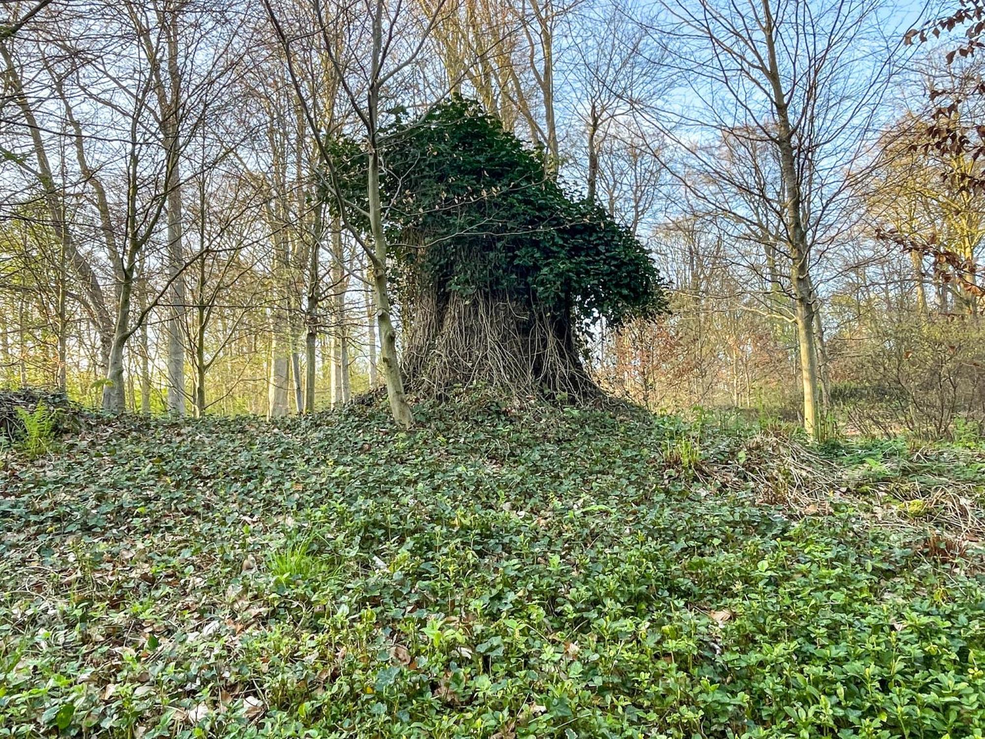 Landhaus Beim Knoops Park BRE Eksteriør bilde